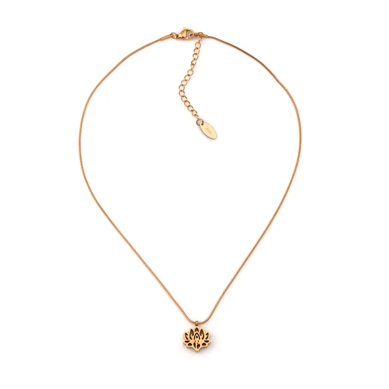 GKN2112001 1